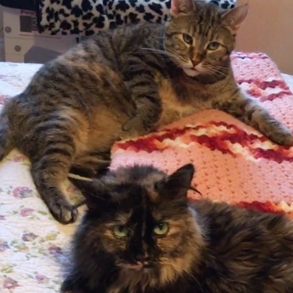 Meet your Posher, Sanddra - Picture 8 of 16